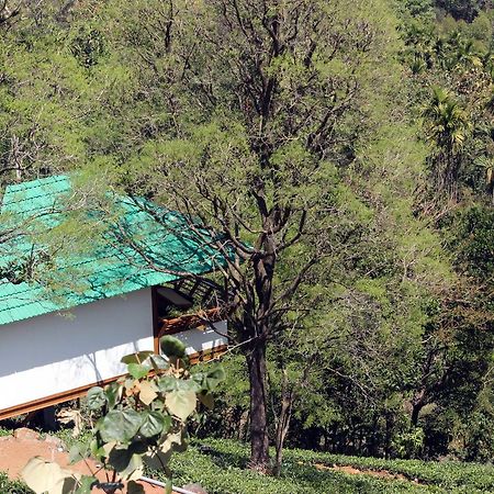 Vythiri Hills Exterior photo